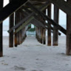 Meet your Posher, Tara